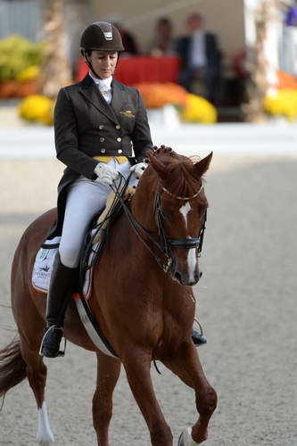 Dressage-at-Devon-9-27-13-4816-DDeRosaPhoto