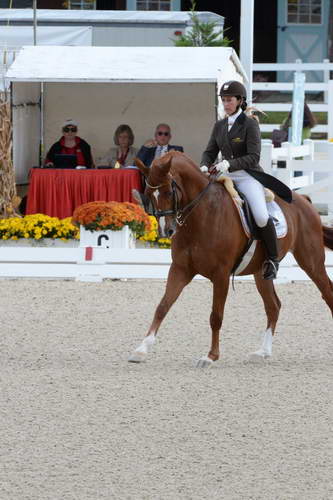 Dressage-at-Devon-9-27-13-4832-DDeRosaPhoto