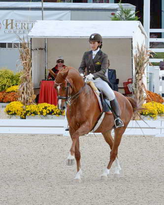 Dressage-at-Devon-9-27-13-4833-DDeRosaPhoto