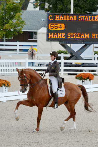 Dressage-at-Devon-9-27-13-4840-DDeRosaPhoto