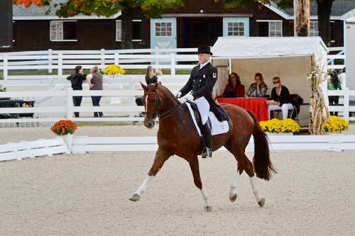 Dressage-at-Devon-9-27-13-4843-DDeRosaPhoto