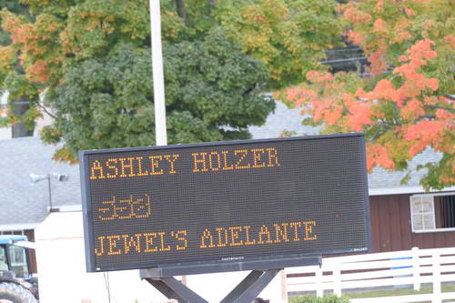 Dressage-at-Devon-9-27-13-4851-DDeRosaPhoto