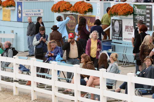 Dressage-at-Devon-9-27-13-4852-DDeRosaPhoto