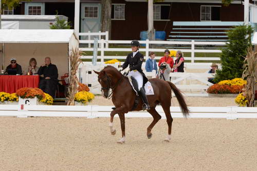 Dressage-at-Devon-9-27-13-4853-DDeRosaPhoto