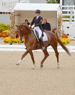 Dressage-at-Devon-9-27-13-4854-DDeRosaPhoto