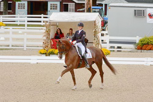 Dressage-at-Devon-9-27-13-4856-DDeRosaPhoto