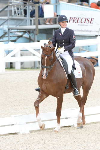 Dressage-at-Devon-9-27-13-4858-DDeRosaPhoto