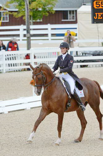 Dressage-at-Devon-9-27-13-4873-DDeRosaPhoto