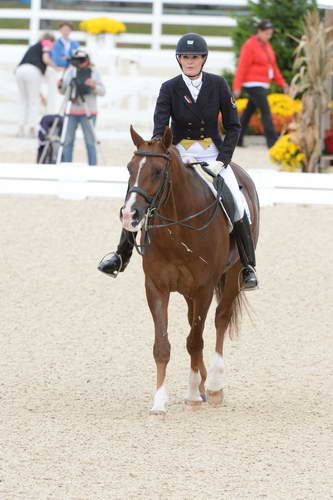 Dressage-at-Devon-9-27-13-4887-DDeRosaPhoto