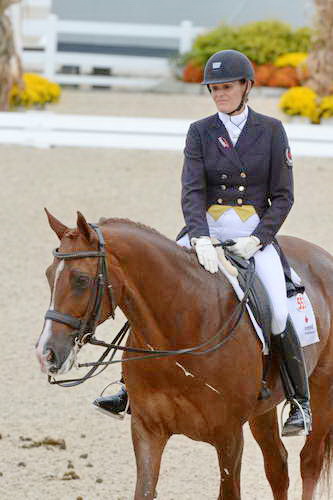 Dressage-at-Devon-9-27-13-4890-DDeRosaPhoto