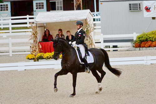 Dressage-at-Devon-9-27-13-4894-DDeRosaPhoto