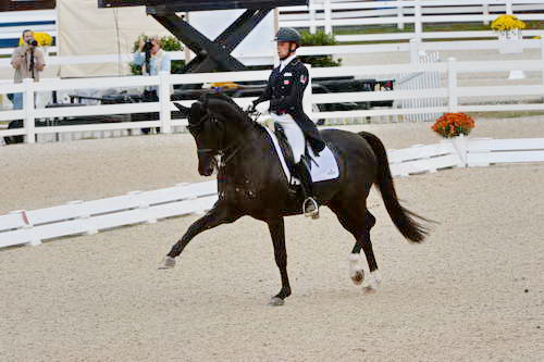 Dressage-at-Devon-9-27-13-4895-DDeRosaPhoto