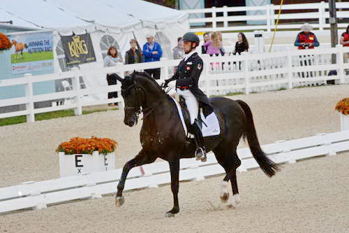 Dressage-at-Devon-9-27-13-4897-DDeRosaPhoto