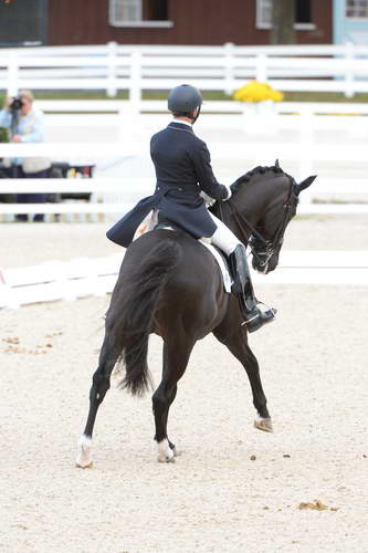 Dressage-at-Devon-9-27-13-4904-DDeRosaPhoto