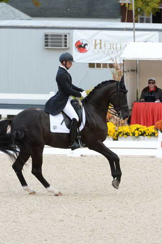 Dressage-at-Devon-9-27-13-4915-DDeRosaPhoto