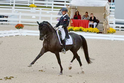 Dressage-at-Devon-9-27-13-4918-DDeRosaPhoto