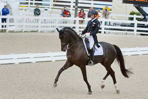 Dressage-at-Devon-9-27-13-4920-DDeRosaPhoto