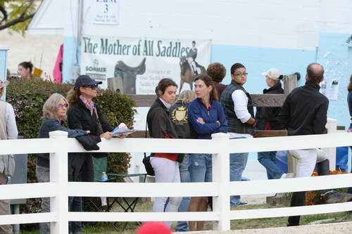 Dressage-at-Devon-9-27-13-4923-DDeRosaPhoto