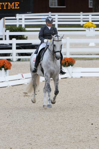 Dressage-at-Devon-9-27-13-4927-EviStrasser-RenaissanceTyme-DDeRosaPhoto