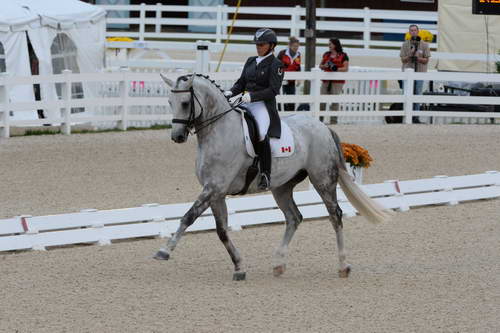 Dressage-at-Devon-9-27-13-4935-EviStrasser-RenaissanceTyme-DDeRosaPhoto