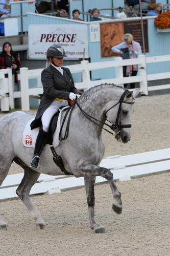 Dressage-at-Devon-9-27-13-4938-EviStrasser-RenaissanceTyme-DDeRosaPhoto