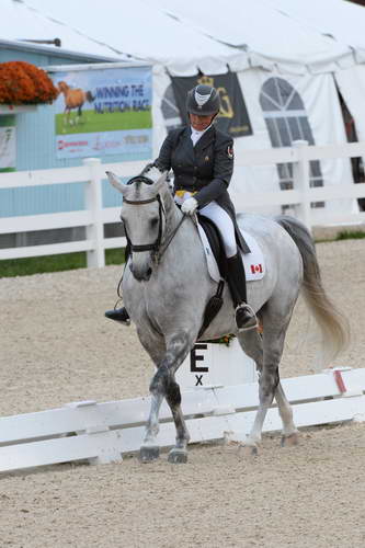 Dressage-at-Devon-9-27-13-4942-EviStrasser-RenaissanceTyme-DDeRosaPhoto