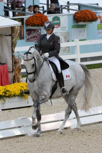 Dressage-at-Devon-9-27-13-4943-EviStrasser-RenaissanceTyme-DDeRosaPhoto