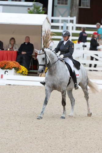 Dressage-at-Devon-9-27-13-4944-EviStrasser-RenaissanceTyme-DDeRosaPhoto