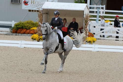Dressage-at-Devon-9-27-13-4952-EviStrasser-RenaissanceTyme-DDeRosaPhoto