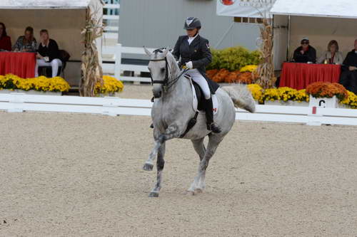 Dressage-at-Devon-9-27-13-4954-EviStrasser-RenaissanceTyme-DDeRosaPhoto