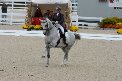Dressage-at-Devon-9-27-13-4956-EviStrasser-RenaissanceTyme-DDeRosaPhoto