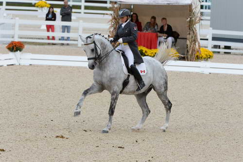 Dressage-at-Devon-9-27-13-4957-EviStrasser-RenaissanceTyme-DDeRosaPhoto