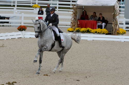 Dressage-at-Devon-9-27-13-4958-EviStrasser-RenaissanceTyme-DDeRosaPhoto