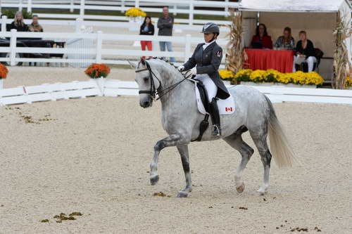 Dressage-at-Devon-9-27-13-4961-EviStrasser-RenaissanceTyme-DDeRosaPhoto