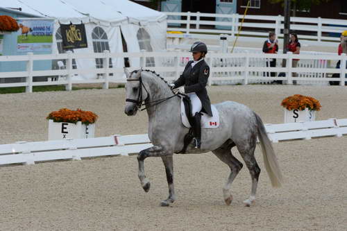 Dressage-at-Devon-9-27-13-4963-EviStrasser-RenaissanceTyme-DDeRosaPhoto