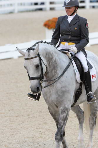 Dressage-at-Devon-9-27-13-4969-EviStrasser-RenaissanceTyme-DDeRosaPhoto