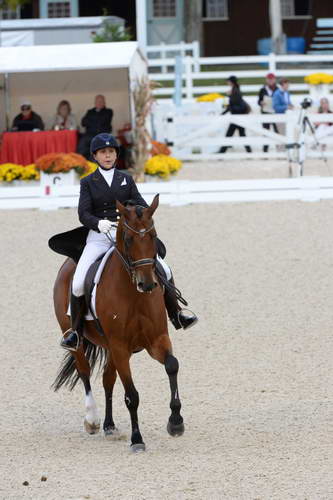 Dressage-at-Devon-9-27-13-4972-JillIrving-Degas12-DDeRosaPhoto