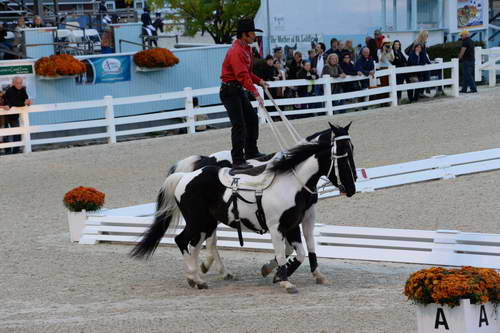 Dressage-at-Devon-9-27-13-4990-DDeRosaPhoto