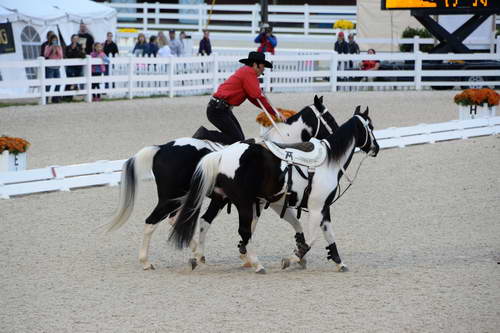 Dressage-at-Devon-9-27-13-4992-DDeRosaPhoto
