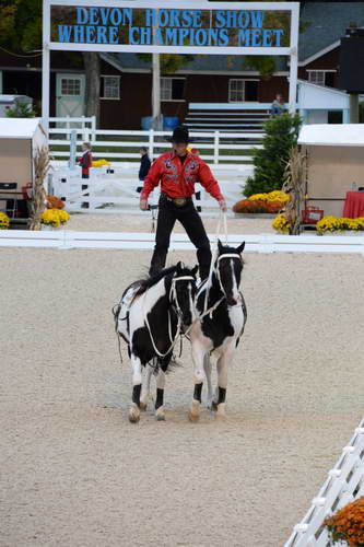 Dressage-at-Devon-9-27-13-4998-DDeRosaPhoto