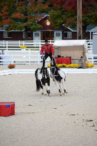Dressage-at-Devon-9-27-13-5004-DDeRosaPhoto