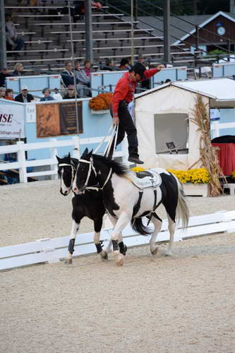 Dressage-at-Devon-9-27-13-5006-DDeRosaPhoto