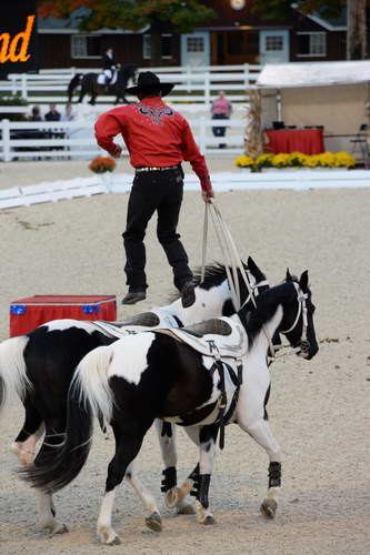Dressage-at-Devon-9-27-13-5007-DDeRosaPhoto