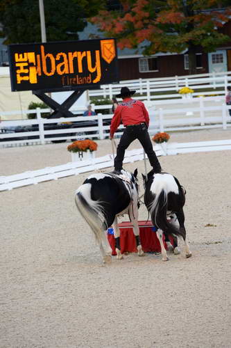 Dressage-at-Devon-9-27-13-5010-DDeRosaPhoto