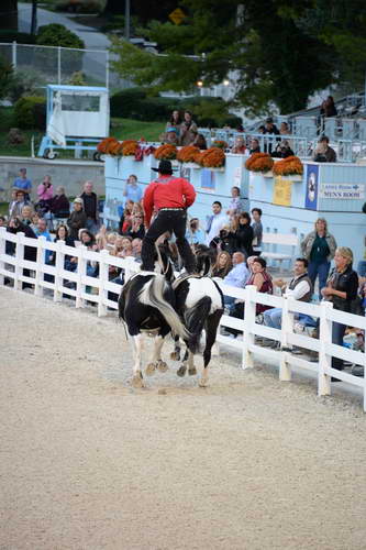 Dressage-at-Devon-9-27-13-5013-DDeRosaPhoto