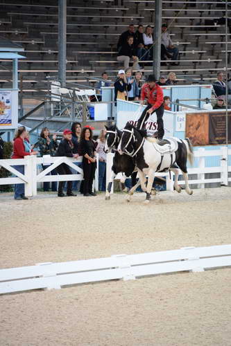 Dressage-at-Devon-9-27-13-5014-DDeRosaPhoto