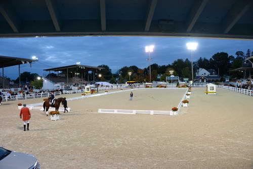 Dressage-at-Devon-9-27-13-5027-DDeRosaPhoto