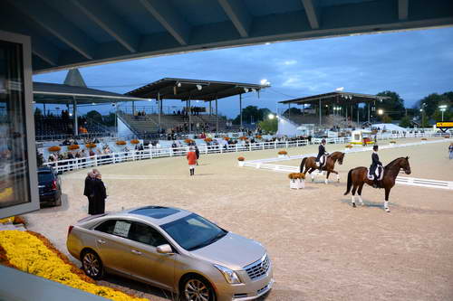 Dressage-at-Devon-9-27-13-5030-DDeRosaPhoto