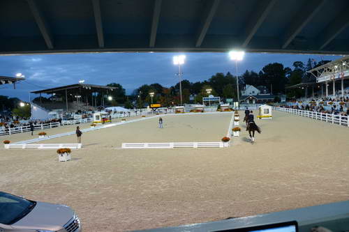 Dressage-at-Devon-9-27-13-5034-DDeRosaPhoto