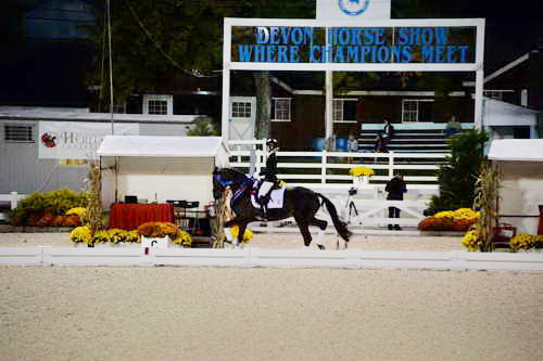 Dressage-at-Devon-9-27-13-5036-DDeRosaPhoto